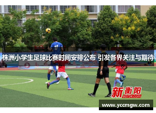 株洲小学生足球比赛时间安排公布 引发各界关注与期待
