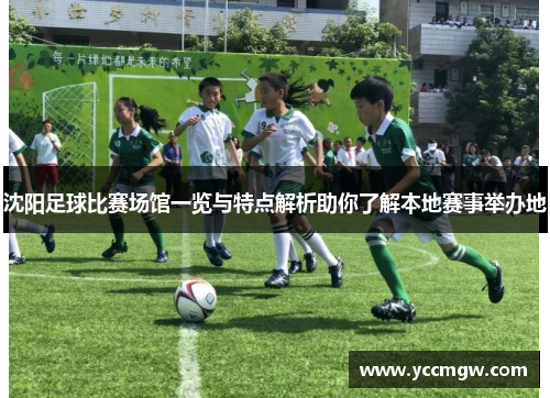 沈阳足球比赛场馆一览与特点解析助你了解本地赛事举办地