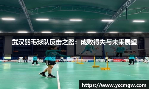 武汉羽毛球队反击之路：成败得失与未来展望